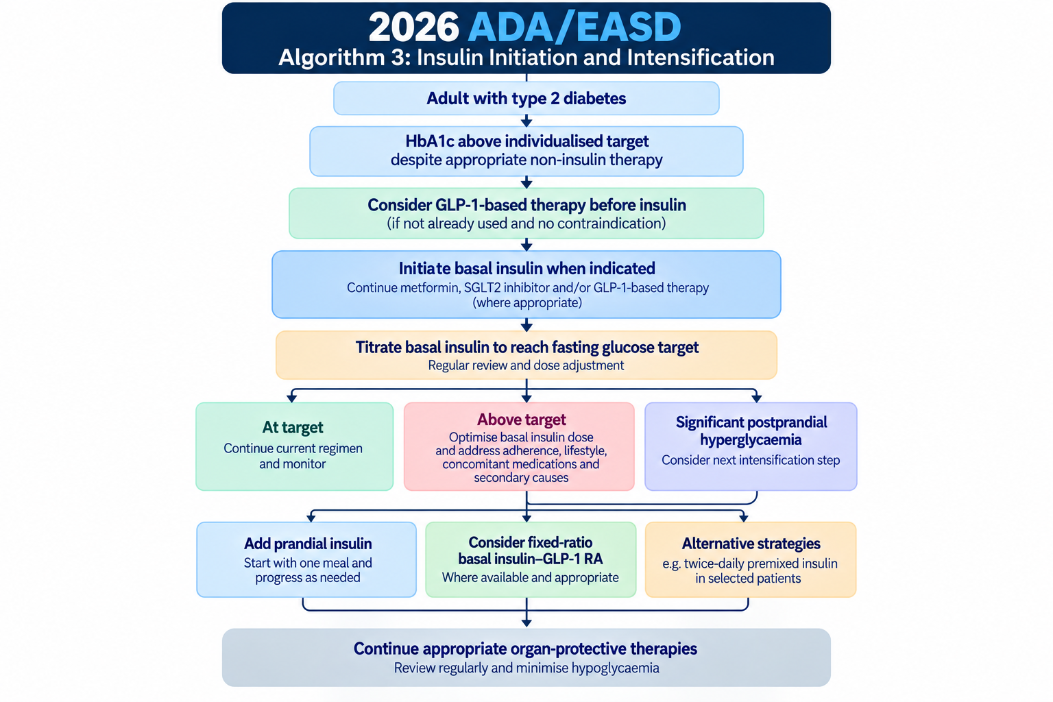 Insulin initiation and intensification pathway for adults with type 2 diabetes, including basal insulin titration and options when glycaemia remains above target.