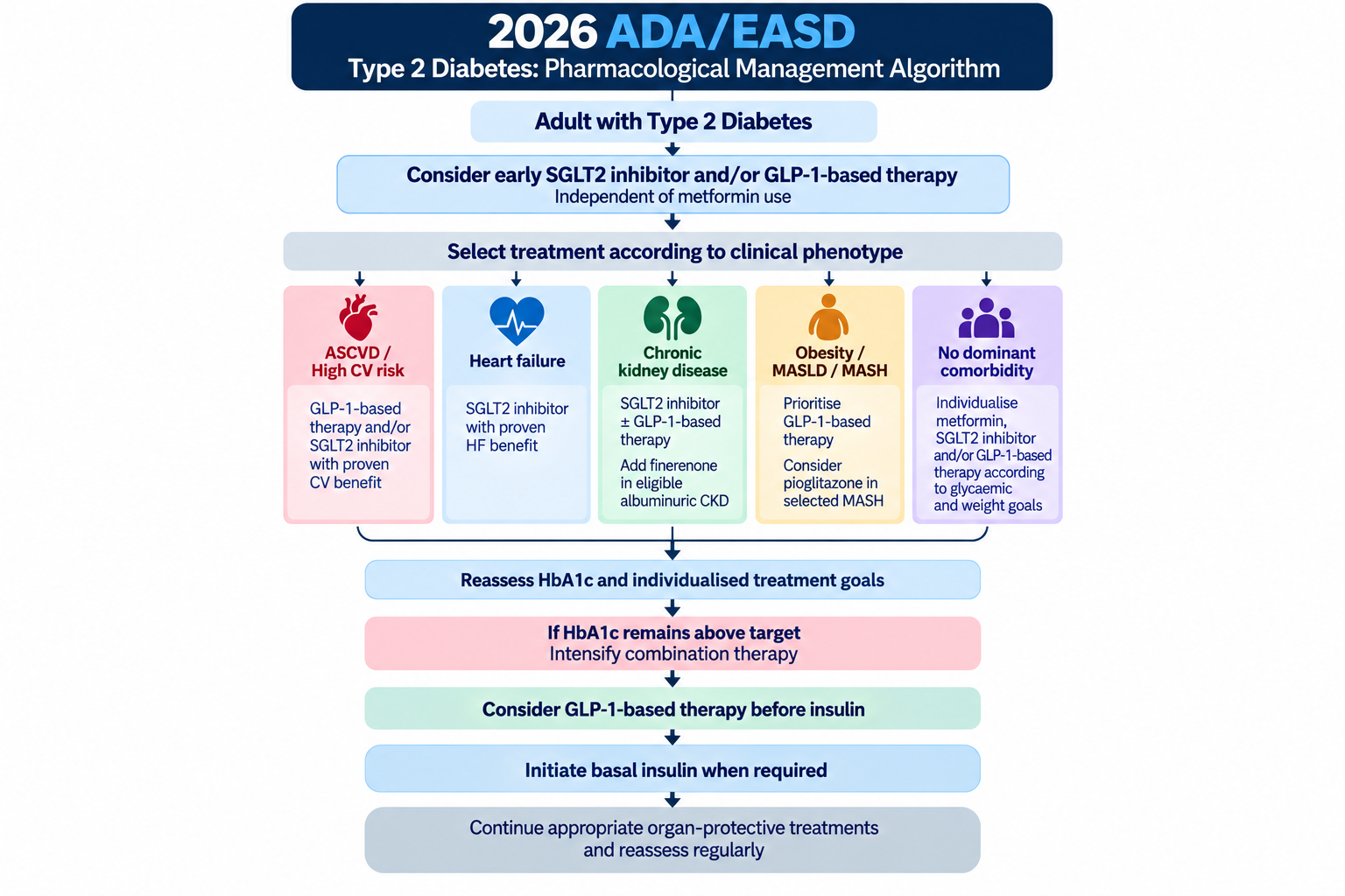 Pharmacological management pathway for type 2 diabetes, from early organ-protective therapy through phenotype-based choices, reassessment and insulin when required.