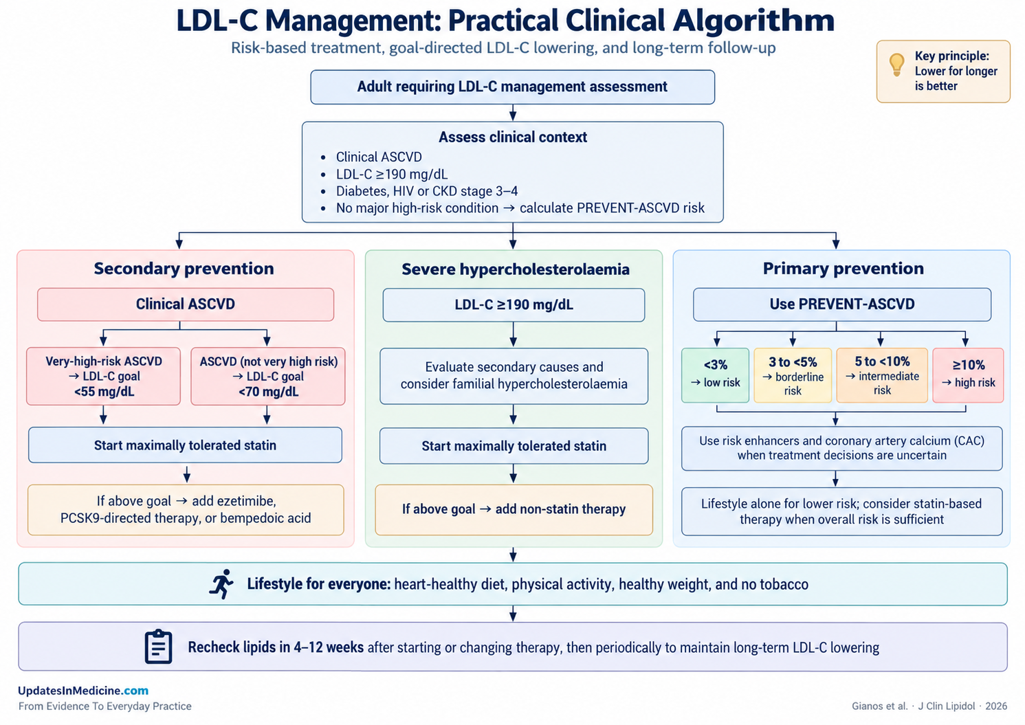 LDL-C management algorithm showing assessment of clinical ASCVD, LDL-C at least 190 mg/dL, primary-prevention risk, treatment pathways and follow-up.
